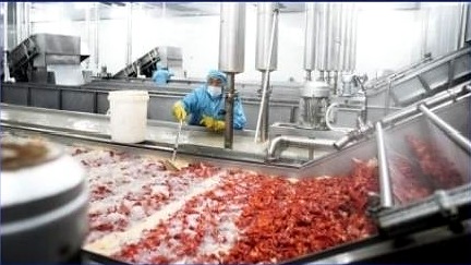 Jieda food processing project case
