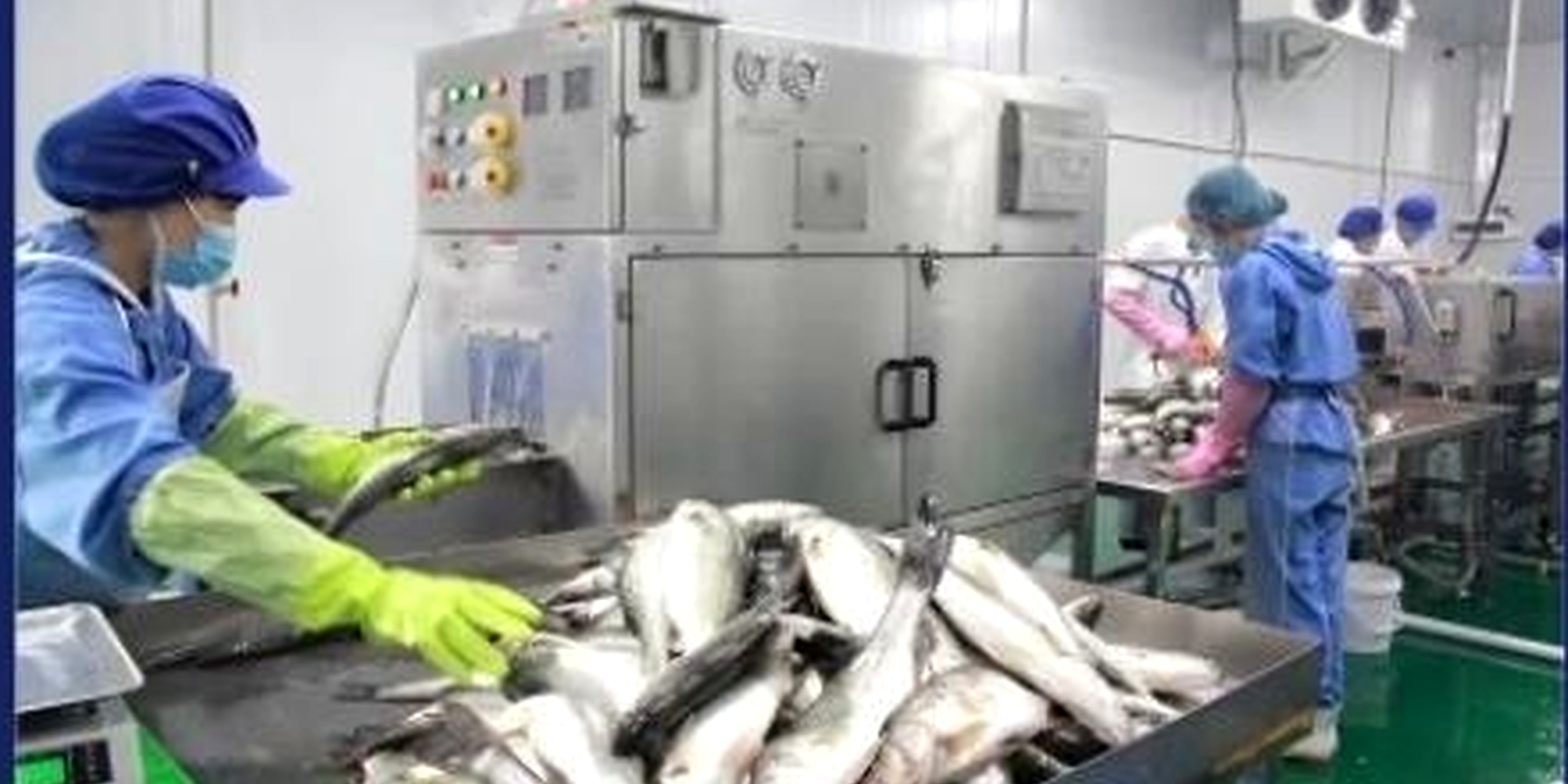 Jieda project case food processing production line